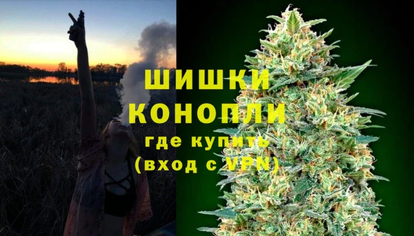 стаф Верхний Тагил