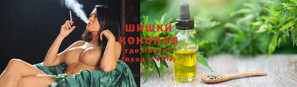 стаф Верхний Тагил