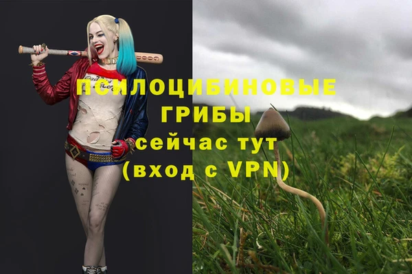 трава Верея