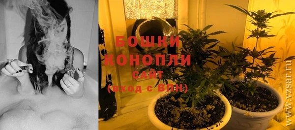 сатива Верхнеуральск
