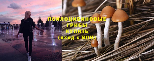 стаф Верхний Тагил