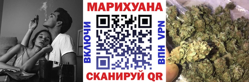 Шишки марихуана планчик  Каргополь 